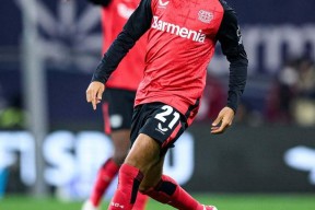 关于荷甲清晨再迎强敌，勒沃库森内部沟通，主帅态度：话题不断，数据趋势出现新变化的信息亚娱体育娱乐在线登入